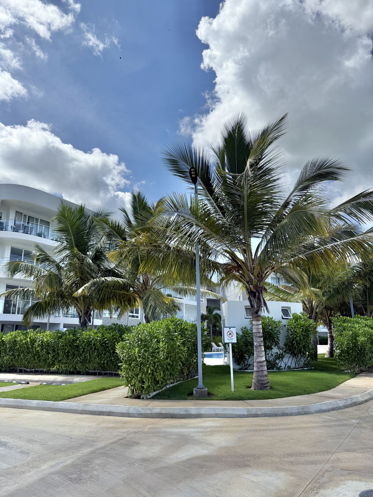 Real exterior view with palms and garden